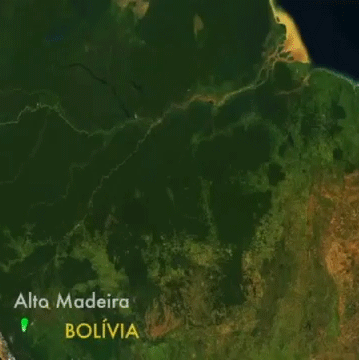 Nenhum peixe de água doce no mundo realiza uma jornada tão longa como a Dourada