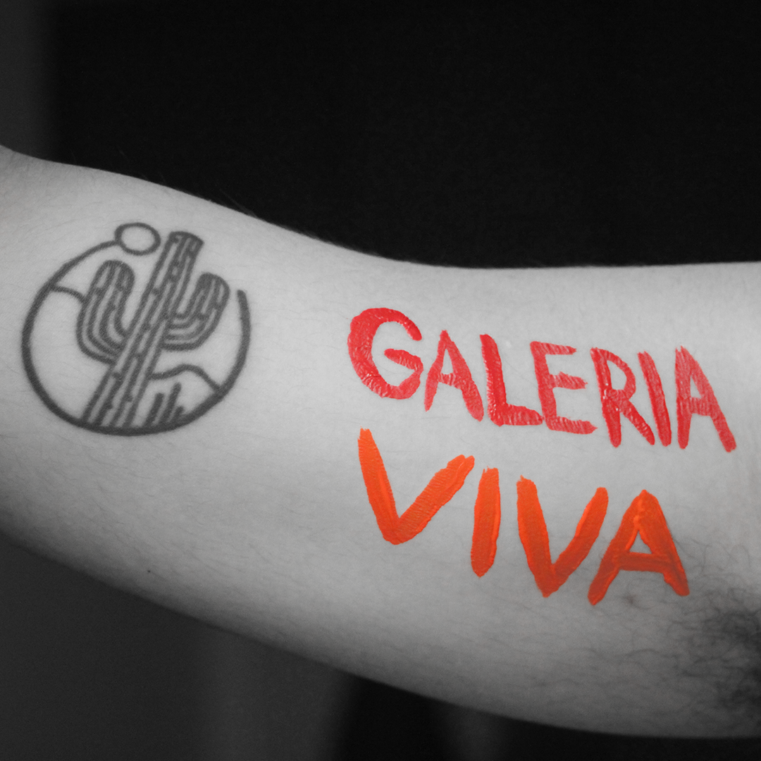 CAPA COM CACTO